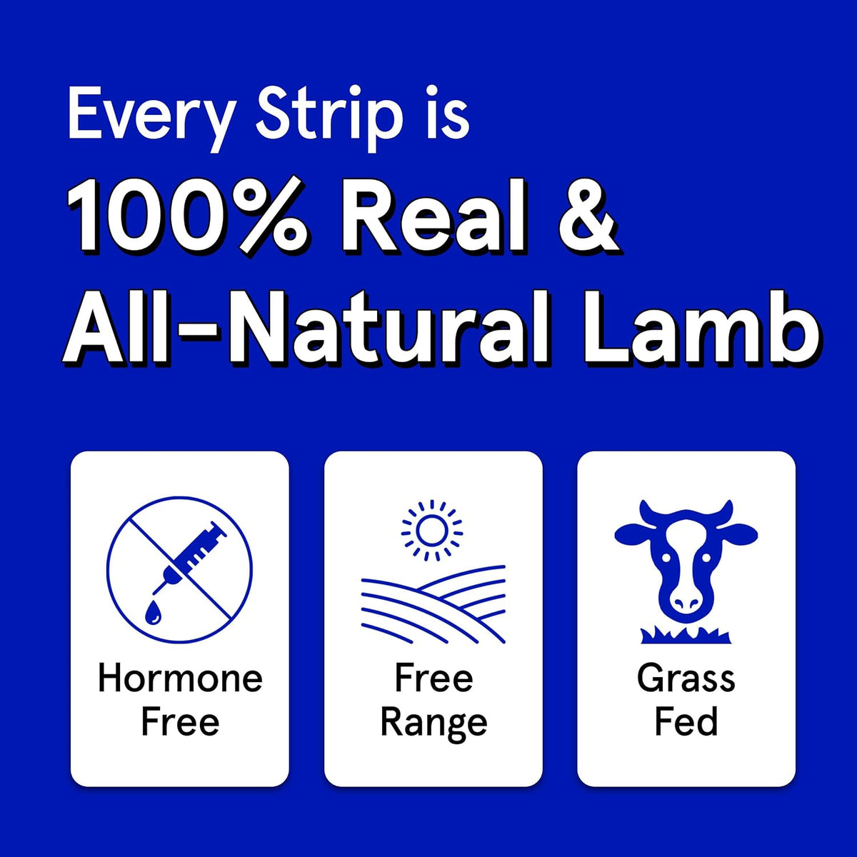 TRMC Real Meat Beef Jerky Dog Treats - 8 Air-Dried Strips of Jerky- Grain-Free Pet Snacks Made up of 95% Free-Range Grass Fed Beef - All-Natural