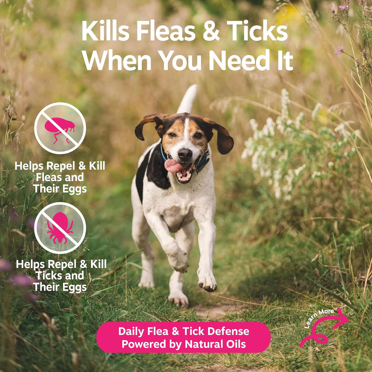 Flea and Tick Spray for Dogs - Kills Fleas, Ticks & Eggs, 16oz