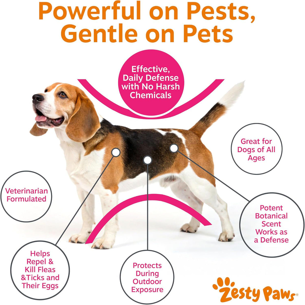 Flea and Tick Spray for Dogs - Kills Fleas, Ticks & Eggs, 16oz