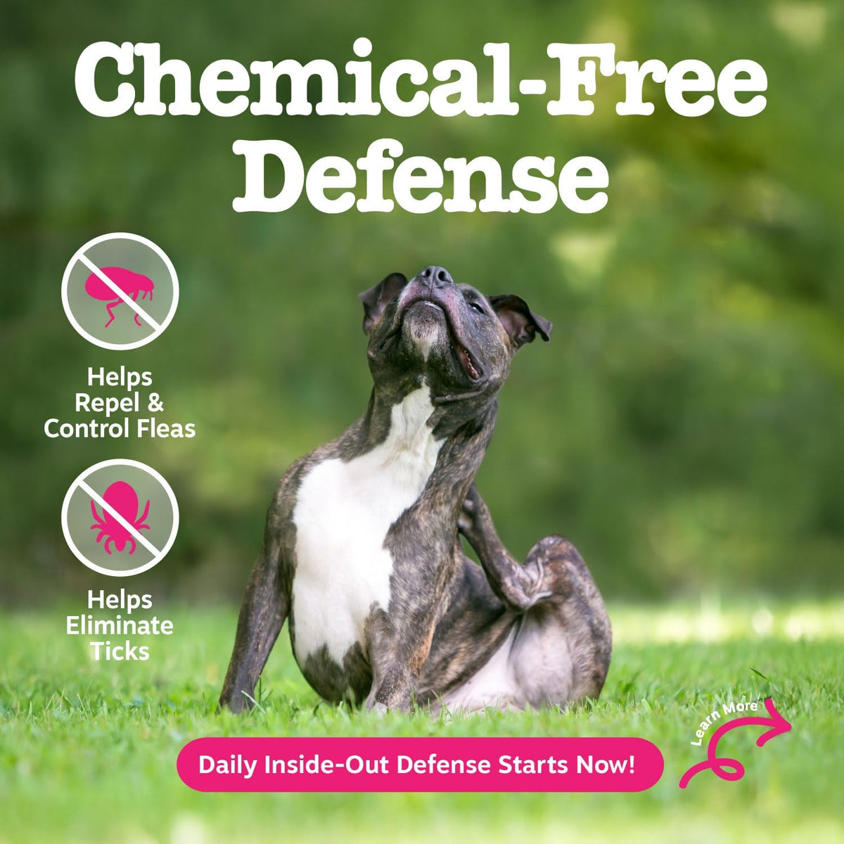 Flea and Tick Spray for Dogs - Kills Fleas, Ticks & Eggs, 16oz