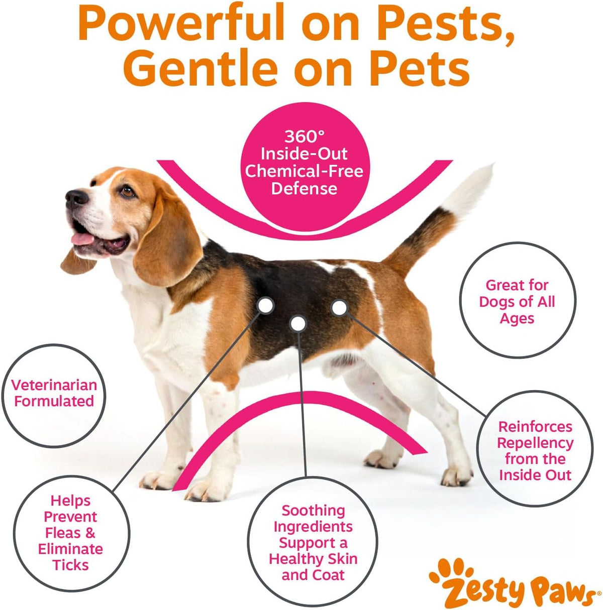 Flea and Tick Spray for Dogs - Kills Fleas, Ticks & Eggs, 16oz