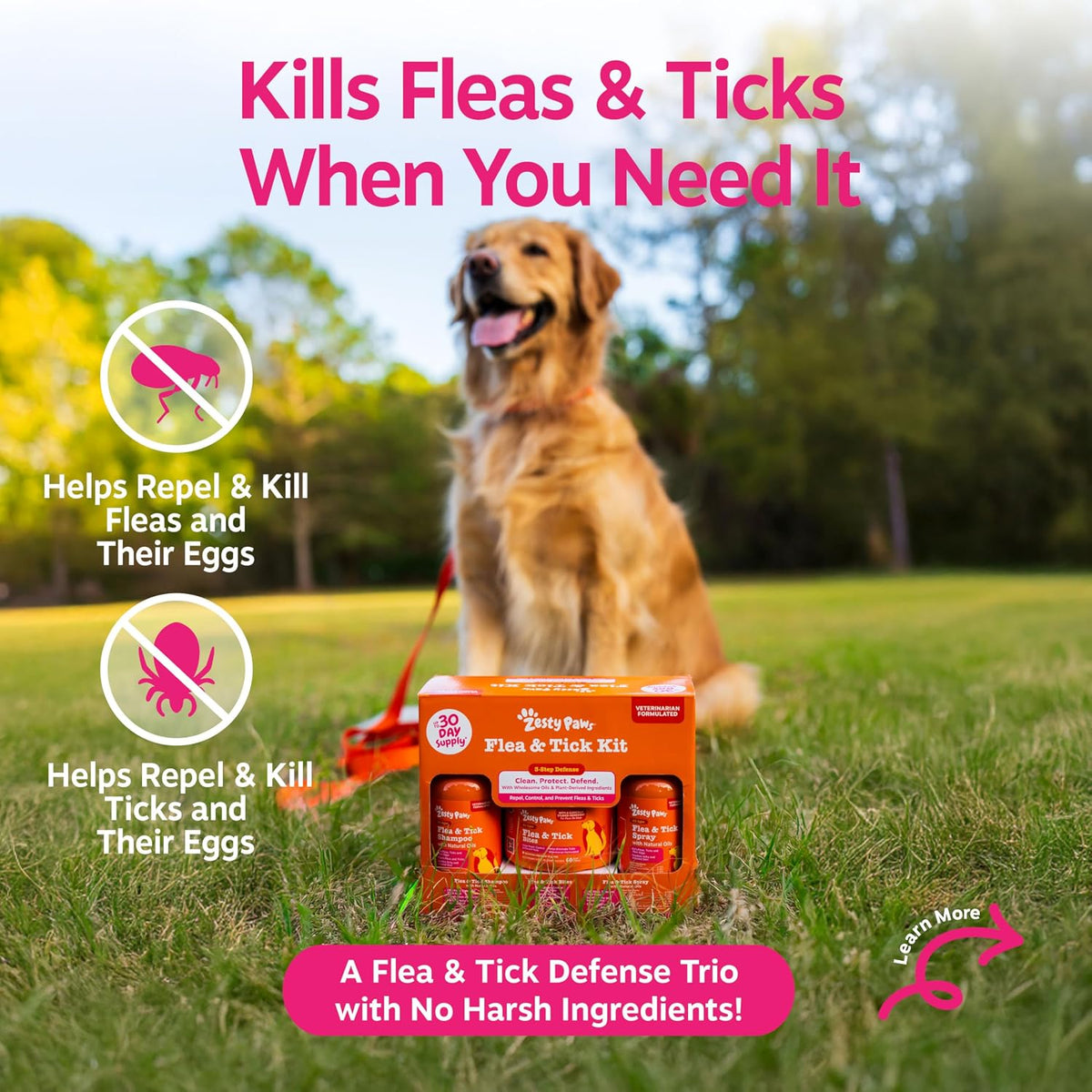 Flea and Tick Spray for Dogs - Kills Fleas, Ticks & Eggs, 16oz