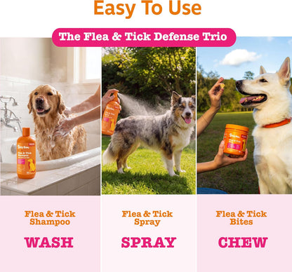 Flea and Tick Spray for Dogs - Kills Fleas, Ticks & Eggs, 16oz