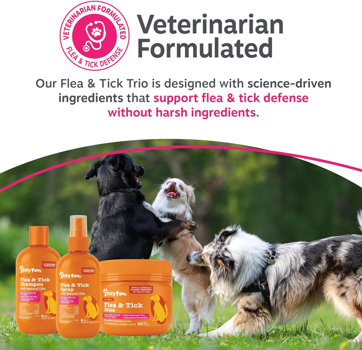 Flea and Tick Spray for Dogs - Kills Fleas, Ticks & Eggs, 16oz