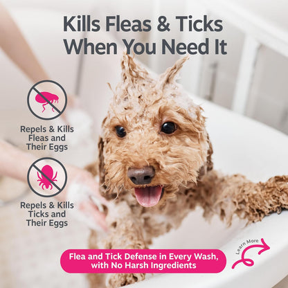 Flea and Tick Spray for Dogs - Kills Fleas, Ticks & Eggs, 16oz