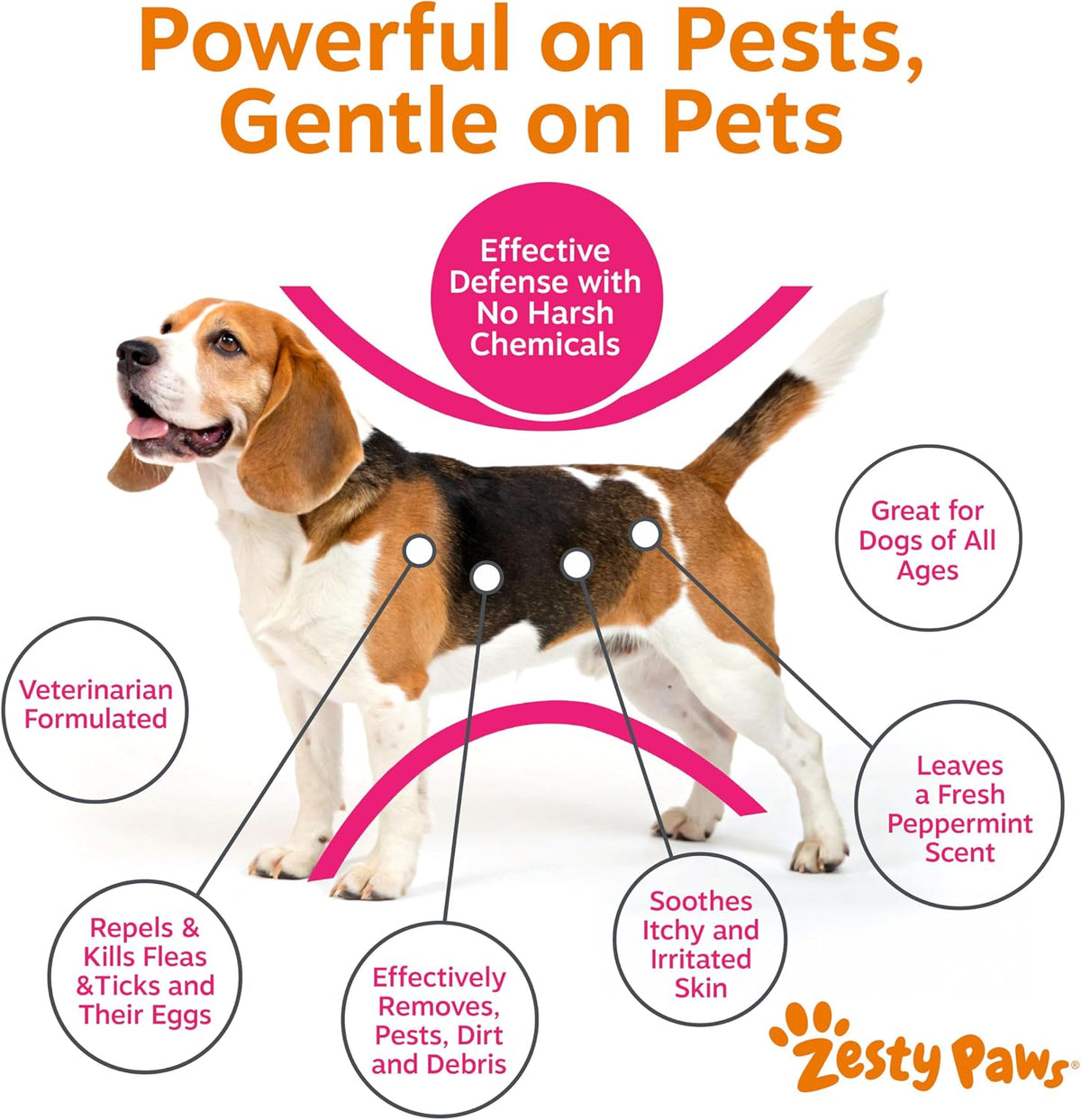 Flea and Tick Spray for Dogs - Kills Fleas, Ticks & Eggs, 16oz