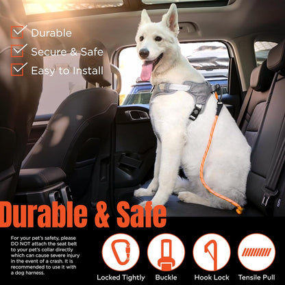 Dog Seat Belt for Car | Universal Pet Car Seatbelt with Reflective Climbing Rope, Aviation Aluminum Carabiner with 360° Swivel & Auto-Lock, Secure Safety Restraint (Trail Blue 360°)