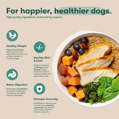 Dry Dog Food - Grass-Fed Beef, Brown Rice & Sweet Potato, 4lb