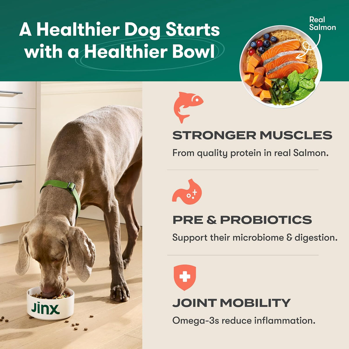 Dry Dog Food - Grass-Fed Beef, Brown Rice & Sweet Potato, 4lb