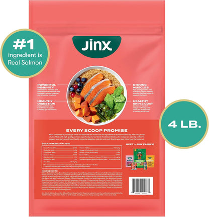 Dry Dog Food - Grass-Fed Beef, Brown Rice & Sweet Potato, 4lb