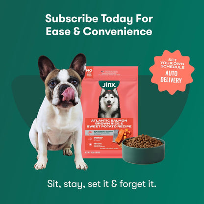 Dry Dog Food - Grass-Fed Beef, Brown Rice & Sweet Potato, 4lb