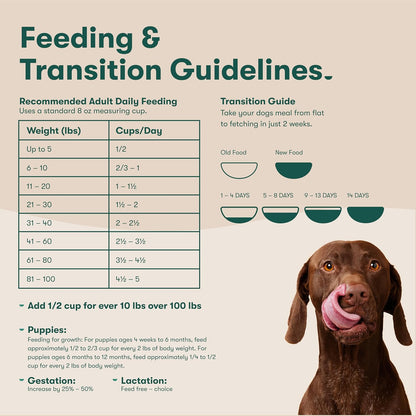 Dry Dog Food - Grass-Fed Beef, Brown Rice & Sweet Potato, 4lb