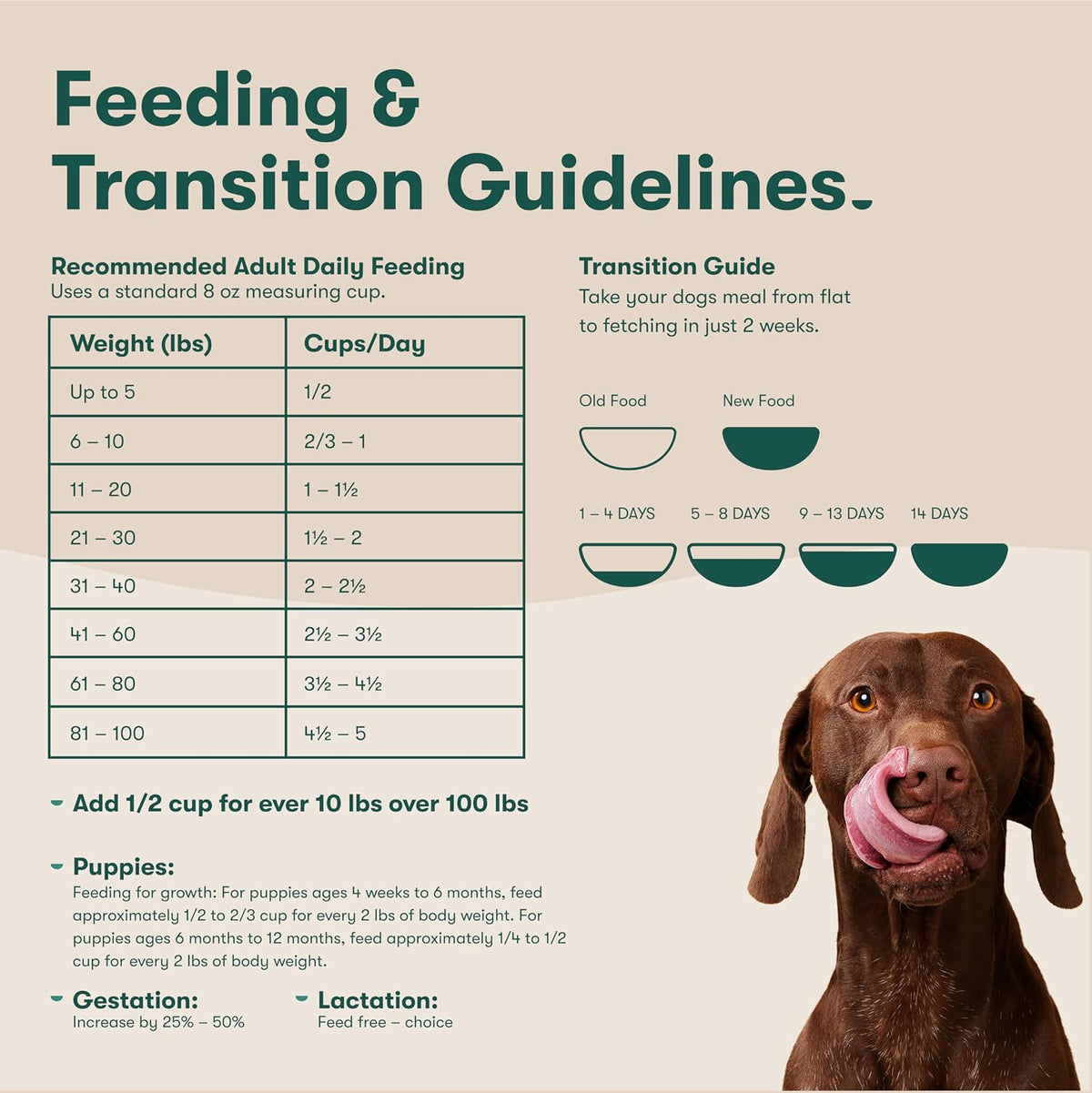 Dry Dog Food - Grass-Fed Beef, Brown Rice & Sweet Potato, 4lb