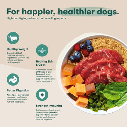 Dry Dog Food - Grass-Fed Beef, Brown Rice & Sweet Potato, 4lb