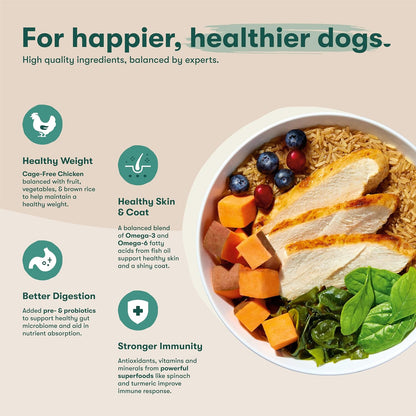 Dry Dog Food - Grass-Fed Beef, Brown Rice & Sweet Potato, 4lb