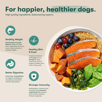 Dry Dog Food - Grass-Fed Beef, Brown Rice & Sweet Potato, 4lb