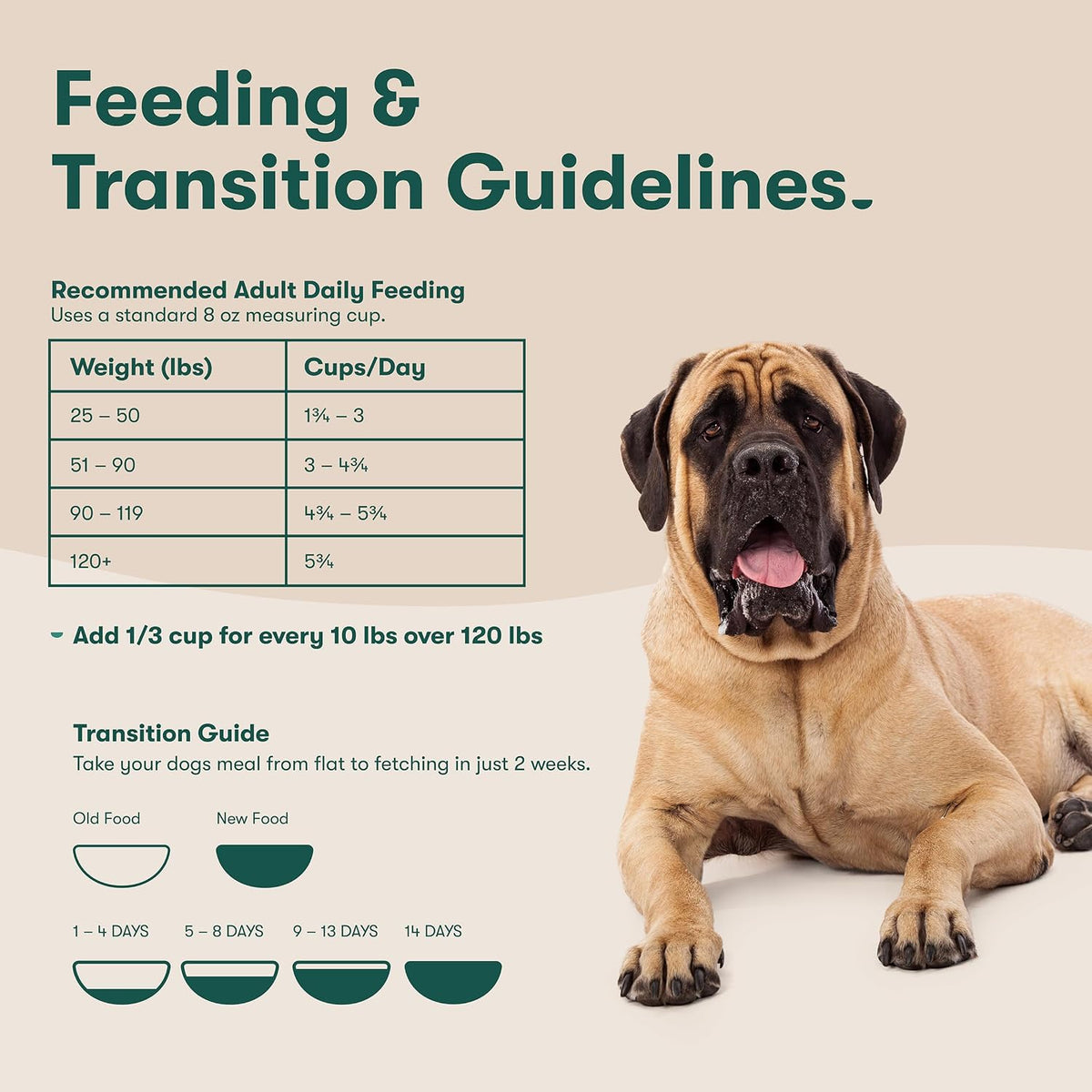 Dry Dog Food - Grass-Fed Beef, Brown Rice & Sweet Potato, 4lb