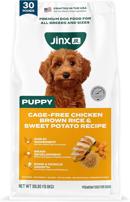 Dry Dog Food - Grass-Fed Beef, Brown Rice & Sweet Potato, 4lb