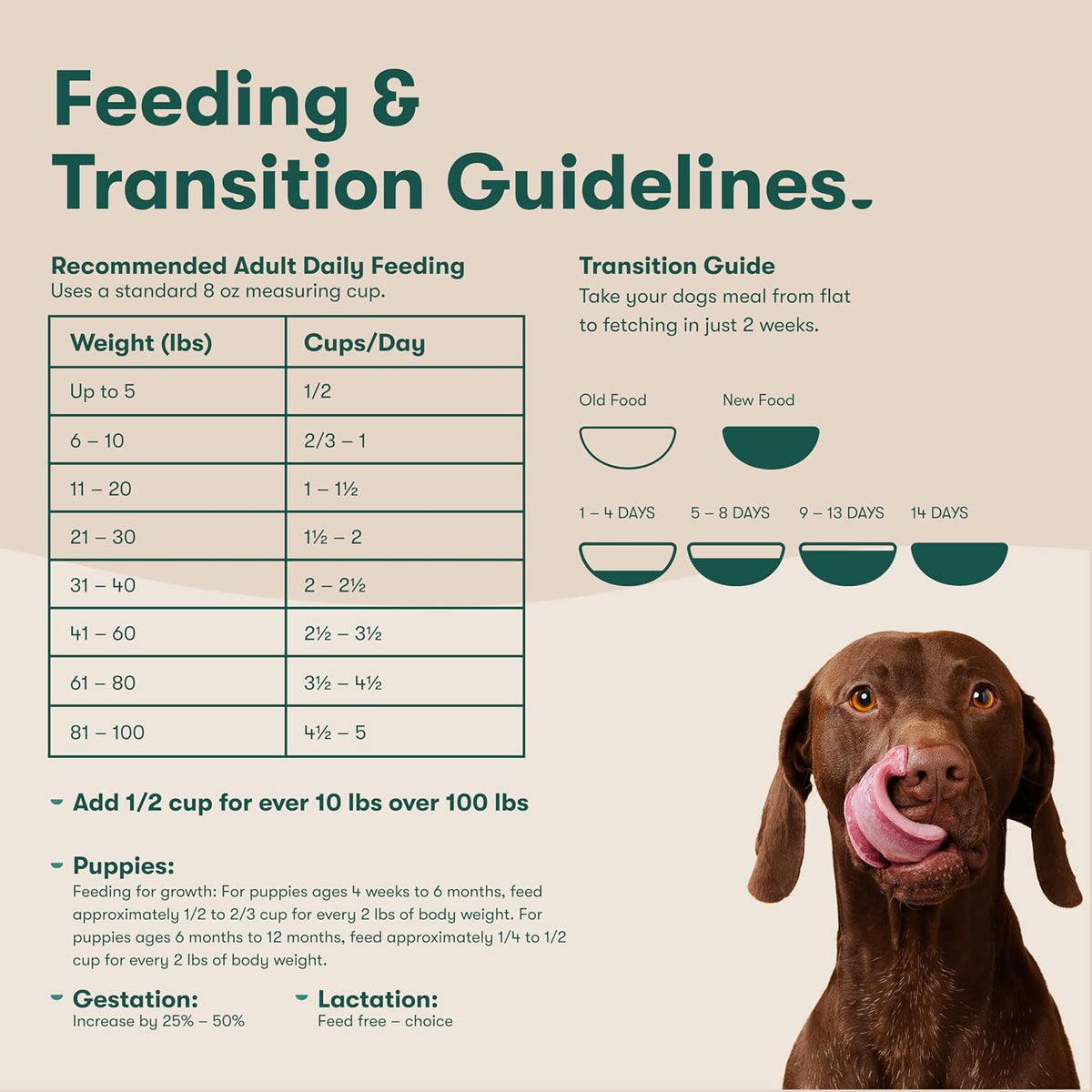 Dry Dog Food - Grass-Fed Beef, Brown Rice & Sweet Potato, 4lb