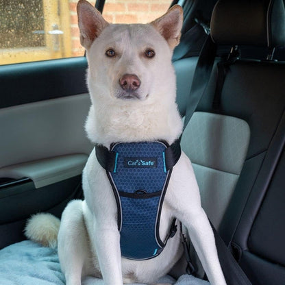 CarSafe Crash Tested Dog Safety Harness | Size M
