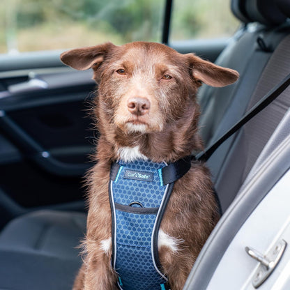 CarSafe Crash Tested Dog Safety Harness | Size M