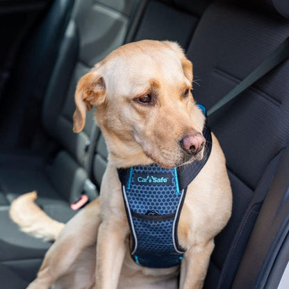 CarSafe Crash Tested Dog Safety Harness | Size M