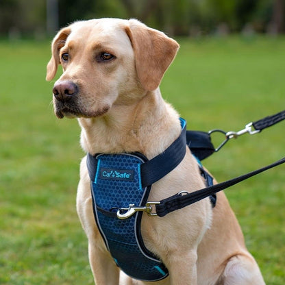 CarSafe Crash Tested Dog Safety Harness | Size M