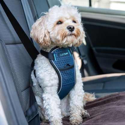 CarSafe Crash Tested Dog Safety Harness | Size M