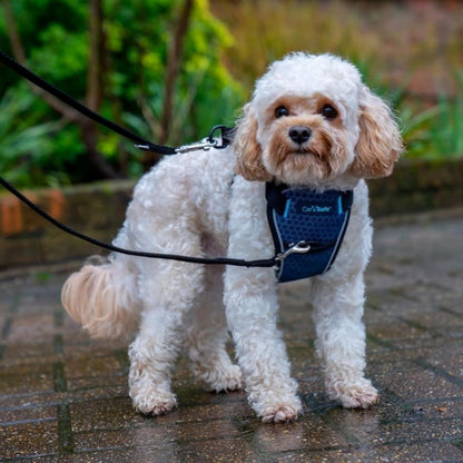 CarSafe Crash Tested Dog Safety Harness | Size M