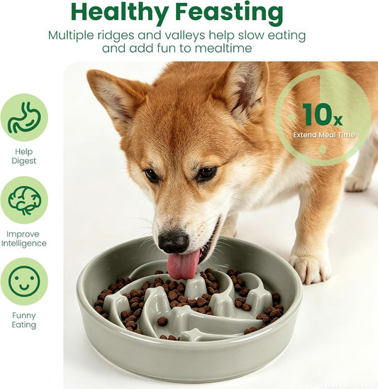 Slow Feeder Dog Bowls Anti-Choking Puzzle Dog Food Bowls Anti-Slip Interactive Feeding Slow Down Eating Bloat Stop Maze Dishes for Medium Breeds, Grey