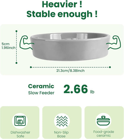 Slow Feeder Dog Bowls Anti-Choking Puzzle Dog Food Bowls Anti-Slip Interactive Feeding Slow Down Eating Bloat Stop Maze Dishes for Medium Breeds, Grey
