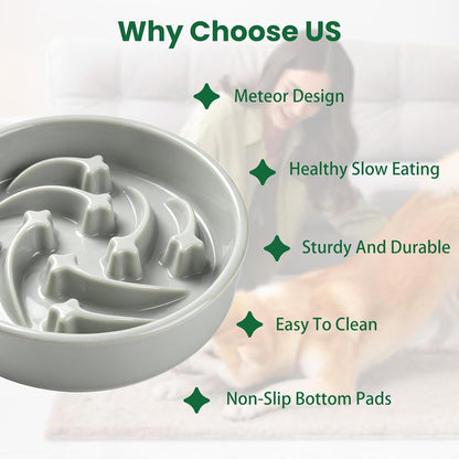 Slow Feeder Dog Bowls Anti-Choking Puzzle Dog Food Bowls Anti-Slip Interactive Feeding Slow Down Eating Bloat Stop Maze Dishes for Medium Breeds, Grey