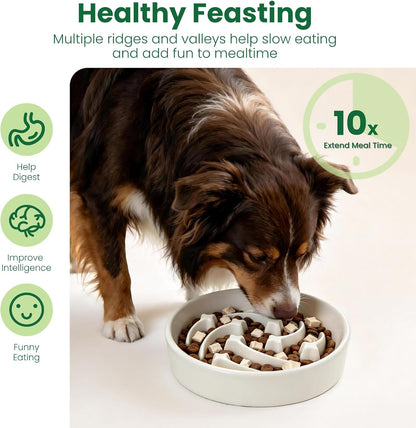 Slow Feeder Dog Bowls Anti-Choking Puzzle Dog Food Bowls Anti-Slip Interactive Feeding Slow Down Eating Bloat Stop Maze Dishes for Medium Breeds, Grey