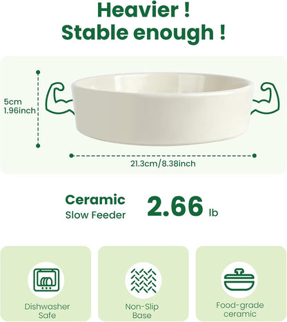 Slow Feeder Dog Bowls Anti-Choking Puzzle Dog Food Bowls Anti-Slip Interactive Feeding Slow Down Eating Bloat Stop Maze Dishes for Medium Breeds, Grey