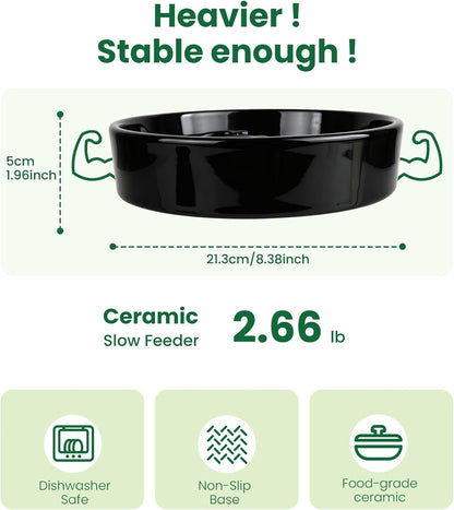 Slow Feeder Dog Bowls Anti-Choking Puzzle Dog Food Bowls Anti-Slip Interactive Feeding Slow Down Eating Bloat Stop Maze Dishes for Medium Breeds, Grey