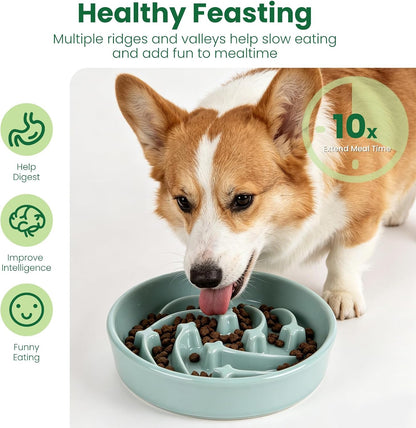 Slow Feeder Dog Bowls Anti-Choking Puzzle Dog Food Bowls Anti-Slip Interactive Feeding Slow Down Eating Bloat Stop Maze Dishes for Medium Breeds, Grey
