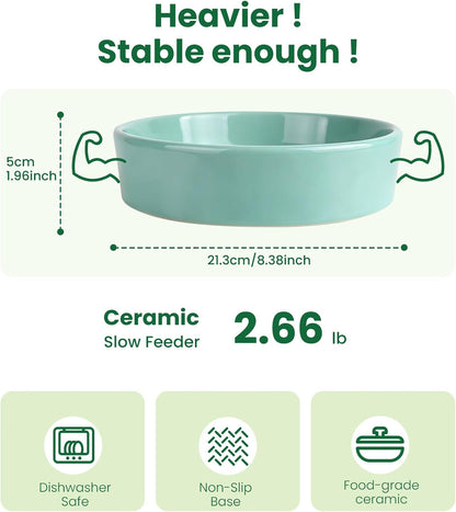 Slow Feeder Dog Bowls Anti-Choking Puzzle Dog Food Bowls Anti-Slip Interactive Feeding Slow Down Eating Bloat Stop Maze Dishes for Medium Breeds, Grey