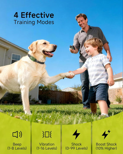 Shock Collar for 2 Dogs with Remote, 4200FT Range, Fits 10-120 lbs
