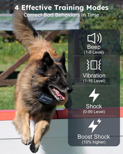 Shock Collar for 2 Dogs with Remote, 4200FT Range, Fits 10-120 lbs