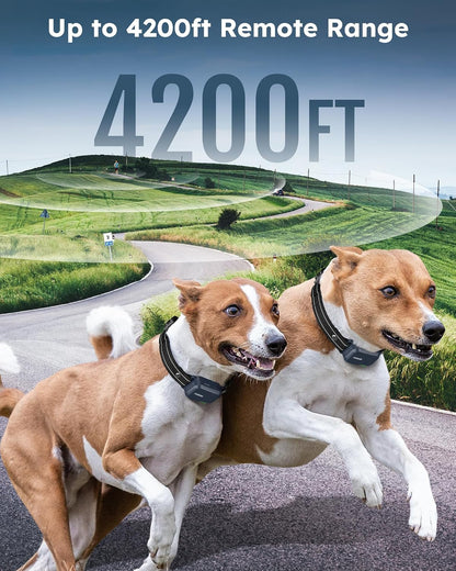 Shock Collar for 2 Dogs with Remote, 4200FT Range, Fits 10-120 lbs