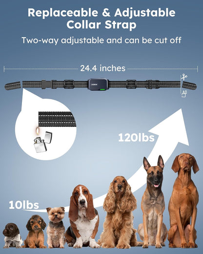 Shock Collar for 2 Dogs with Remote, 4200FT Range, Fits 10-120 lbs