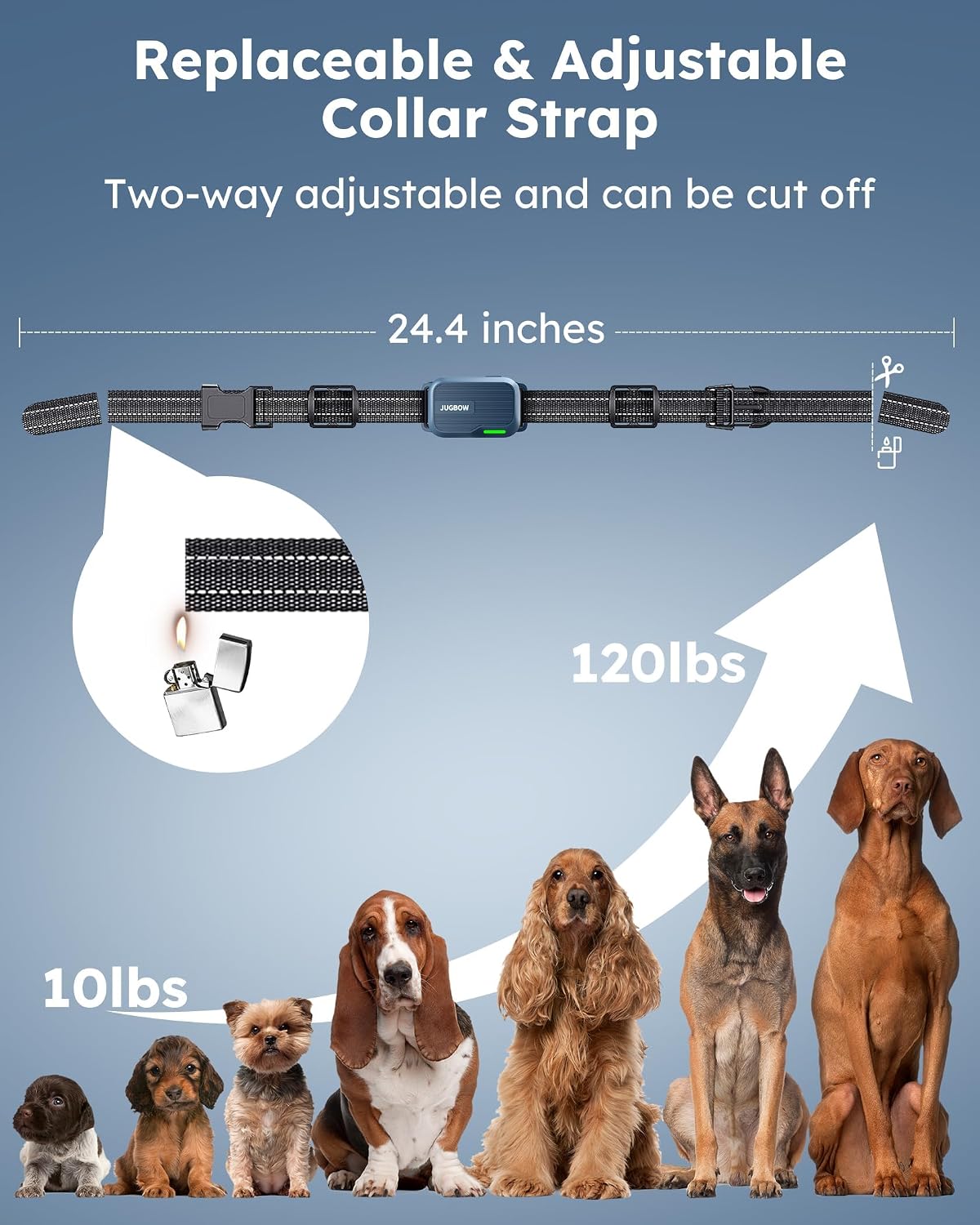 Shock Collar for 2 Dogs with Remote, 4200FT Range, Fits 10-120 lbs
