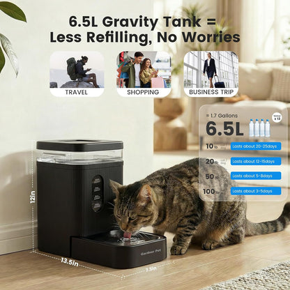 2.2 Gallon Automatic Dog Water Dispenser with Stainless Steel Bowl