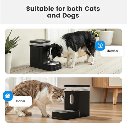 2.2 Gallon Automatic Dog Water Dispenser with Stainless Steel Bowl