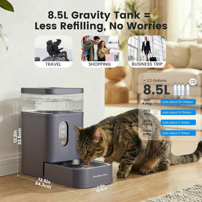 2.2 Gallon Automatic Dog Water Dispenser with Stainless Steel Bowl