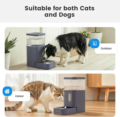 2.2 Gallon Automatic Dog Water Dispenser with Stainless Steel Bowl
