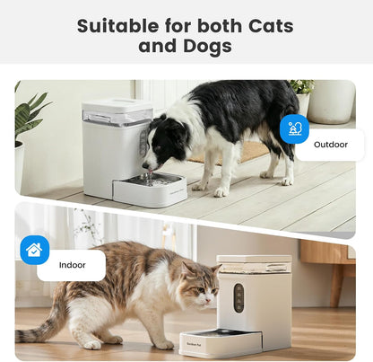 2.2 Gallon Automatic Dog Water Dispenser with Stainless Steel Bowl