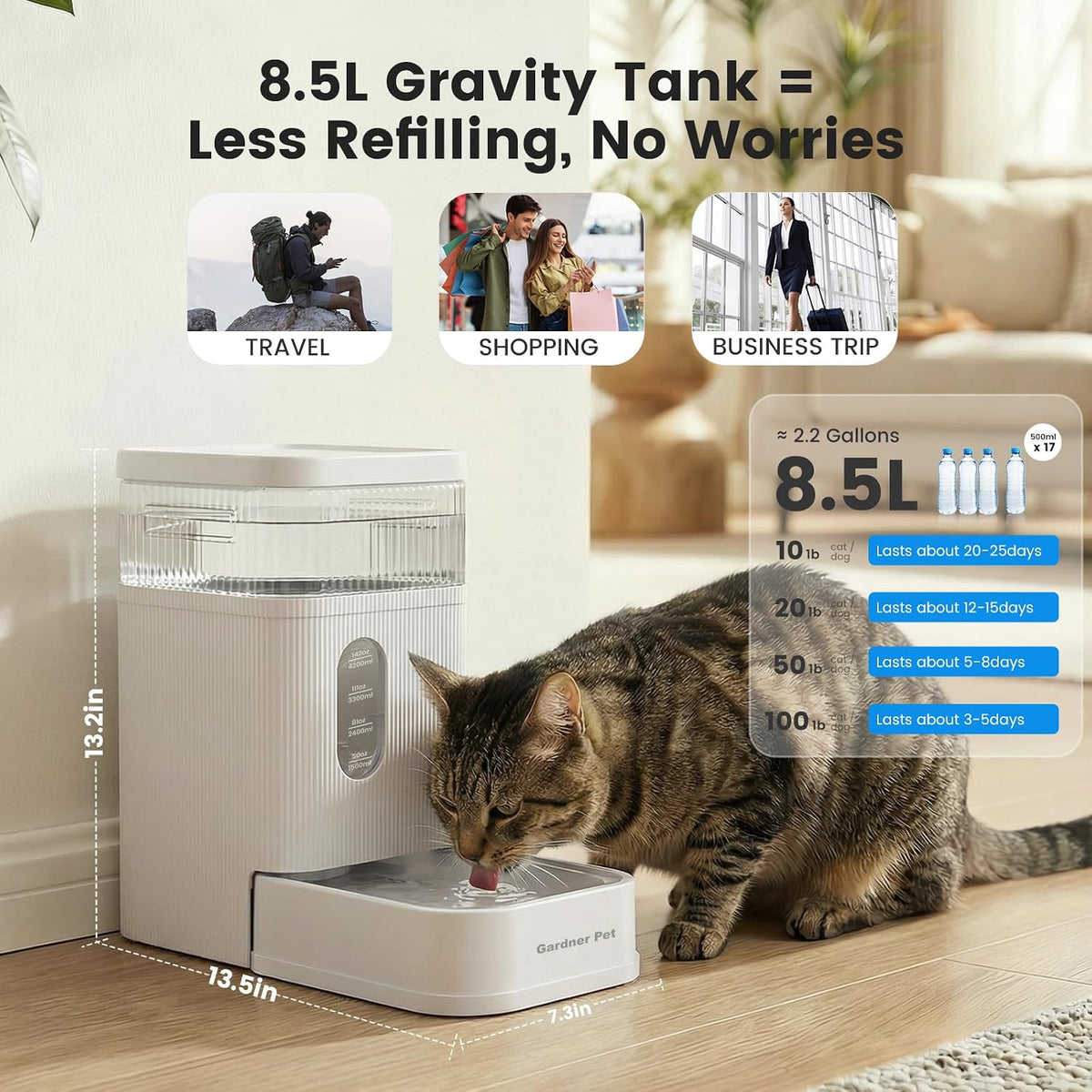 2.2 Gallon Automatic Dog Water Dispenser with Stainless Steel Bowl