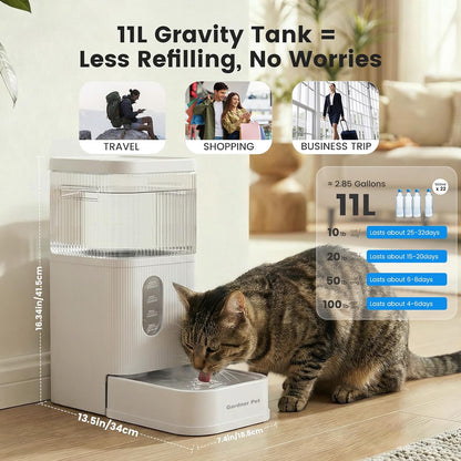 2.2 Gallon Automatic Dog Water Dispenser with Stainless Steel Bowl
