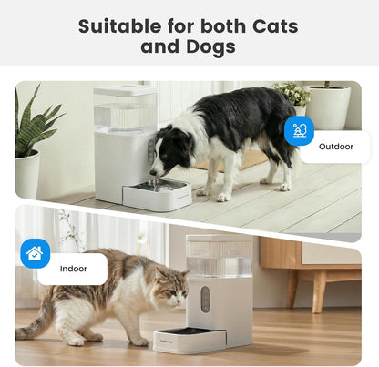 2.2 Gallon Automatic Dog Water Dispenser with Stainless Steel Bowl